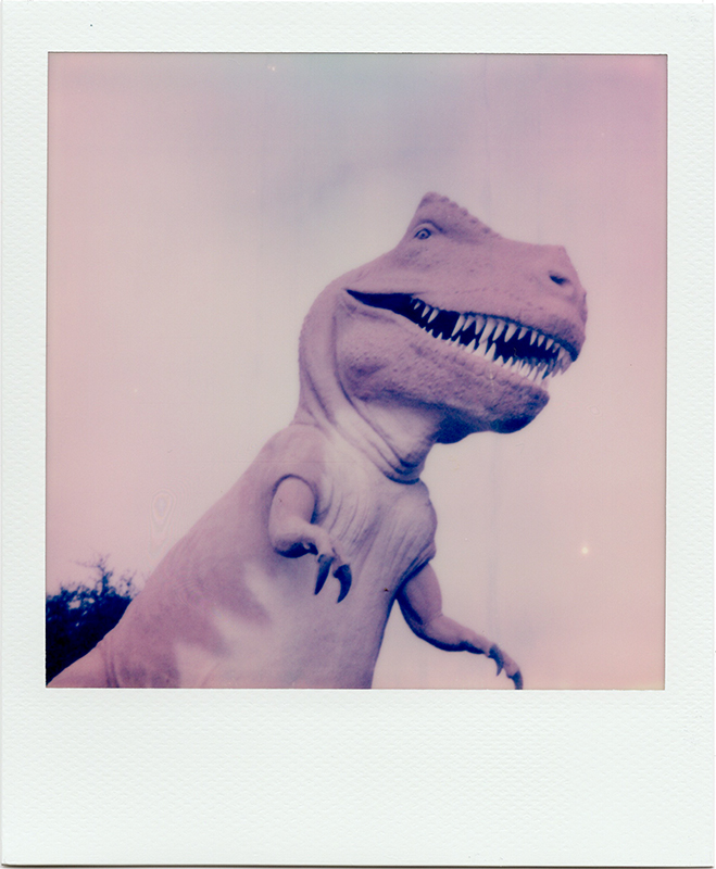 The two large fiberglass dinosaurs to the entrace of Dinosaur Valley State Park were originally a part of the Sinclair Dinoland exhibit at the 1964 New York World's Fair. Here's the tyrannosaurus.<br>Polaroid OneStep2, i-Type Film